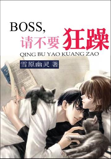 Boss, Please Don't Be a Manic