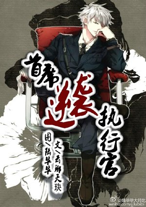Chief Counter Strike Executive