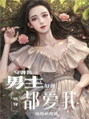 Quick Travel: After traveling through the book, the male protagonist seems to love me