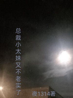 The CEO's little sister is not honest again